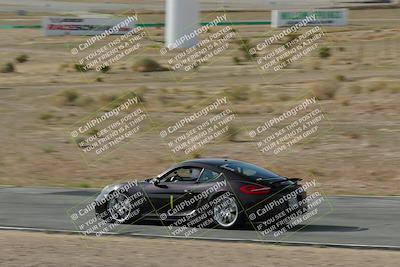 media/Apr-03-2022-CCCR Porsche (Sun) [[45b12865df]]/2-yellow/Session 1/Speed Pan/